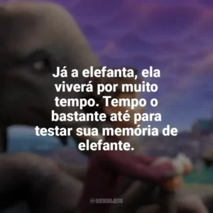 Já a elefanta, ela viverá por muito tempo. Tempo o bastante até para testar sua memória de elefante. A Elefanta do Mágico (Filme)