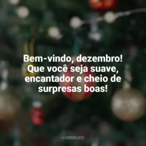 Bem-vindo, dezembro! Que você seja suave, encantador e cheio de surpresas boas! Bem-Vindo Dezembro