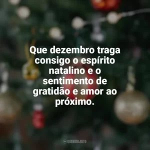 Que dezembro traga consigo o espírito natalino e o sentimento de gratidão e amor ao próximo. Bem-Vindo Dezembro