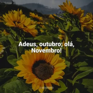 Adeus, outubro; olá, Novembro! Bem-Vindo Novembro