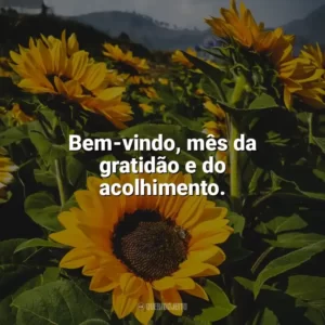 Bem-vindo, mês da gratidão e do acolhimento. Bem-Vindo Novembro