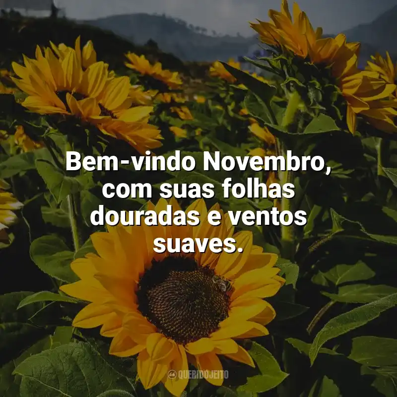 Bem-Vindo Novembro frases: Bem-vindo Novembro, com suas folhas douradas e ventos suaves.