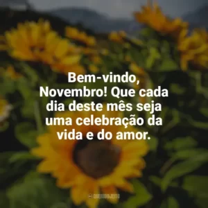 Bem-vindo, Novembro! Que cada dia deste mês seja uma celebração da vida e do amor. Bem-Vindo Novembro