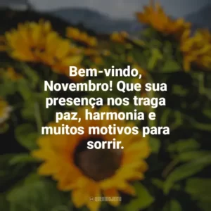 Bem-vindo, Novembro! Que sua presença nos traga paz, harmonia e muitos motivos para sorrir. Bem-Vindo Novembro