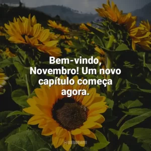 Bem-vindo, Novembro! Um novo capítulo começa agora. Bem-Vindo Novembro