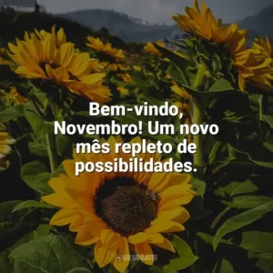 Bem-vindo, Novembro! Um novo mês repleto de possibilidades. Bem-Vindo Novembro