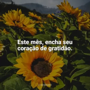 Este mês, encha seu coração de gratidão. Bem-Vindo Novembro