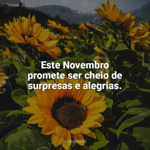 Este Novembro promete ser cheio de surpresas e alegrias. Bem-Vindo Novembro