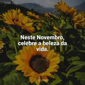 Neste Novembro, celebre a beleza da vida. Bem-Vindo Novembro