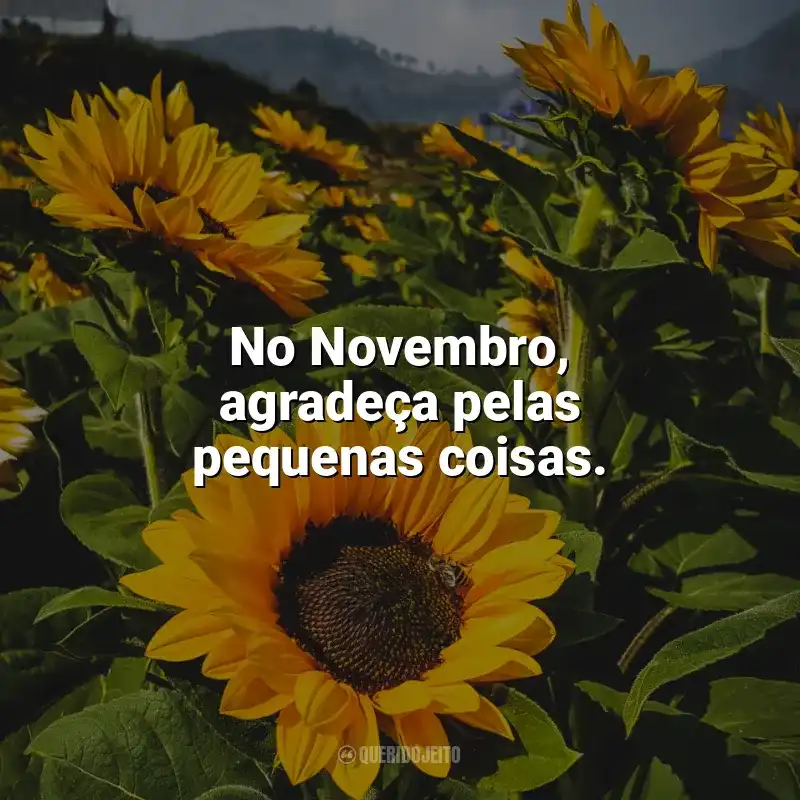 Bem-Vindo Novembro frases: No Novembro, agradeça pelas pequenas coisas.