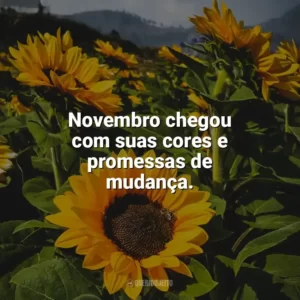 Novembro chegou com suas cores e promessas de mudança. Bem-Vindo Novembro