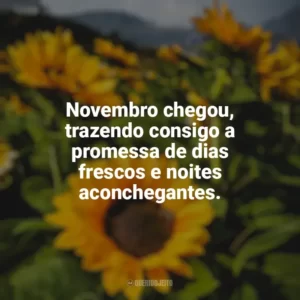 Novembro chegou, trazendo consigo a promessa de dias frescos e noites aconchegantes. Bem-Vindo Novembro