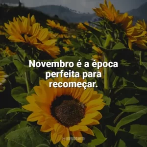 Novembro é a época perfeita para recomeçar. Bem-Vindo Novembro
