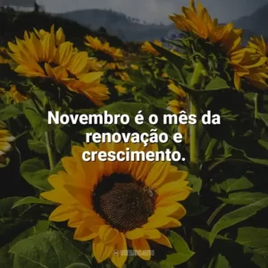Novembro é o mês da renovação e crescimento. Bem-Vindo Novembro
