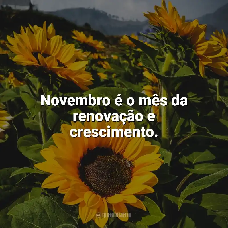Frases Bem-Vindo Novembro homenagem: Novembro é o mês da renovação e crescimento.