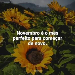 Novembro é o mês perfeito para começar de novo. Bem-Vindo Novembro