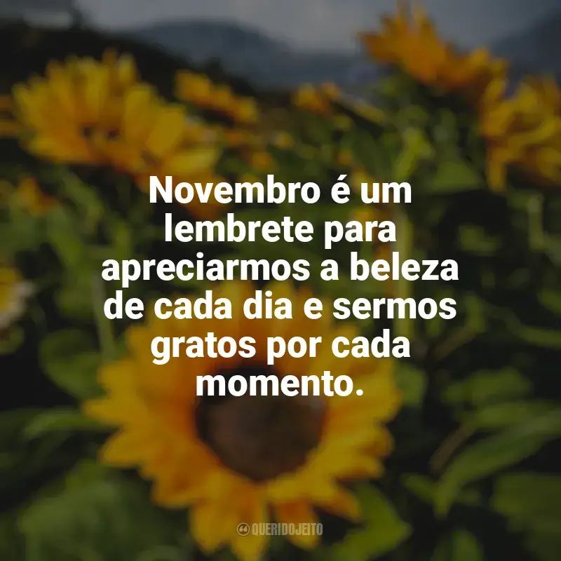 Frases Bem-Vindo Novembro: Novembro é um lembrete para apreciarmos a beleza de cada dia e sermos gratos por cada momento.