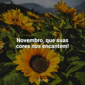 Novembro, que suas cores nos encantem! Bem-Vindo Novembro
