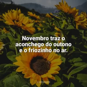 Novembro traz o aconchego do outono e o friozinho no ar. Bem-Vindo Novembro