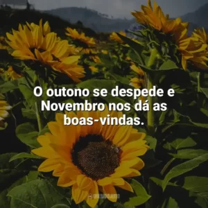O outono se despede e Novembro nos dá as boas-vindas. Bem-Vindo Novembro
