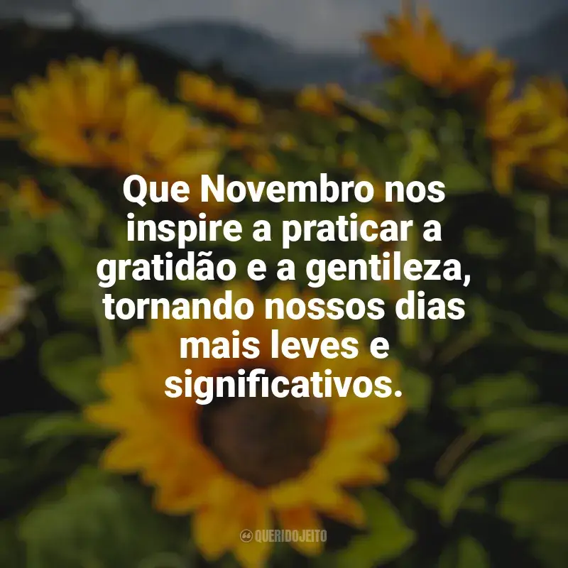 Frases de homenagem e Boas Vindas a Novembro: Que Novembro nos inspire a praticar a gratidão e a gentileza, tornando nossos dias mais leves e significativos.