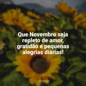 Que Novembro seja repleto de amor, gratidão e pequenas alegrias diárias! Bem-Vindo Novembro