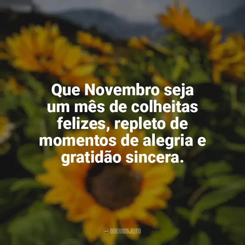 Frases de Bem-Vindo Novembro: Que Novembro seja um mês de colheitas felizes, repleto de momentos de alegria e gratidão sincera.