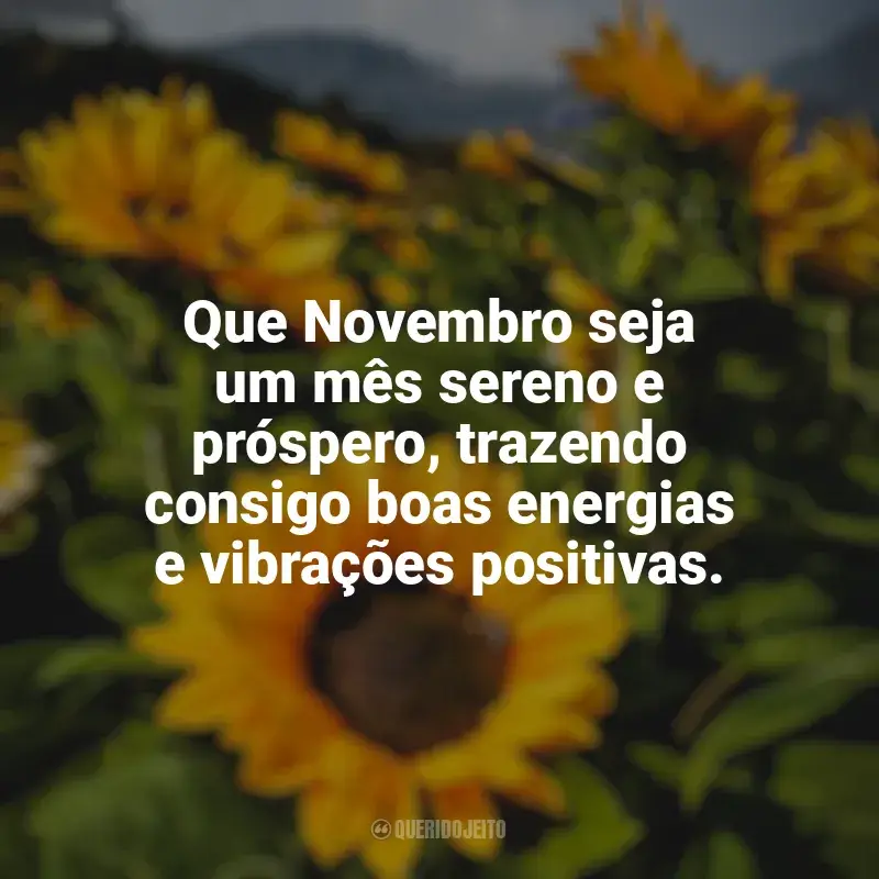 Frases Bem-Vindo Novembro: Que Novembro seja um mês sereno e próspero, trazendo consigo boas energias e vibrações positivas.
