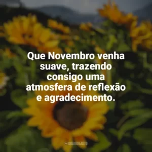Que Novembro venha suave, trazendo consigo uma atmosfera de reflexão e agradecimento. Bem-Vindo Novembro