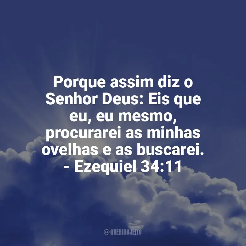 Frases reflexivas de Profecias Bíblicas: Porque assim diz o Senhor Deus: Eis que eu, eu mesmo, procurarei as minhas ovelhas e as buscarei. - Ezequiel 34:11