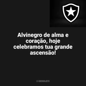Alvinegro de alma e coração, hoje celebramos tua grande ascensão! Botafogo