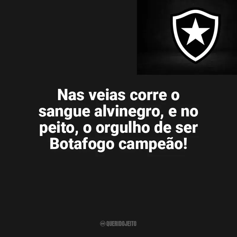 Frases Botafogo: Nas veias corre o sangue alvinegro, e no peito, o orgulho de ser Botafogo campeão!