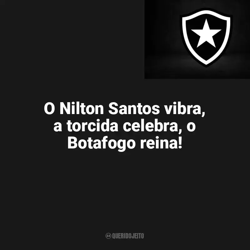 Botafogo frases time vencedor: O Nilton Santos vibra, a torcida celebra, o Botafogo reina!