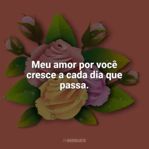 Meu amor por você cresce a cada dia que passa. Carinho