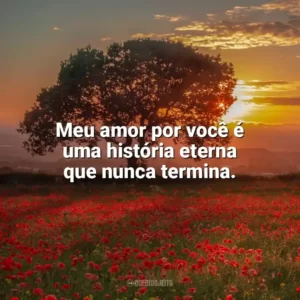 Meu amor por você é uma história eterna que nunca termina. Carinho