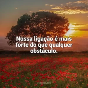 Nossa ligação é mais forte do que qualquer obstáculo. Carinho