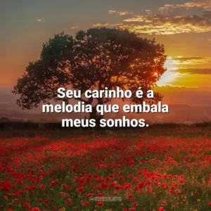 Seu carinho é a melodia que embala meus sonhos. Carinho