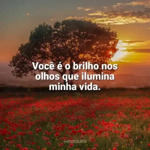 Você é o brilho nos olhos que ilumina minha vida. Carinho