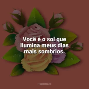 Você é o sol que ilumina meus dias mais sombrios. Carinho