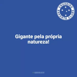 Gigante pela própria natureza! Cruzeiro