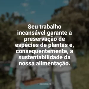 Seu trabalho incansável garante a preservação de espécies de plantas e, consequentemente, a sustentabilidade da nossa alimentação. Dia da Apicultura