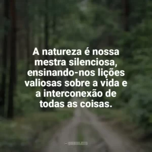 A natureza é nossa mestra silenciosa, ensinando-nos lições valiosas sobre a vida e a interconexão de todas as coisas. Dia da Natureza