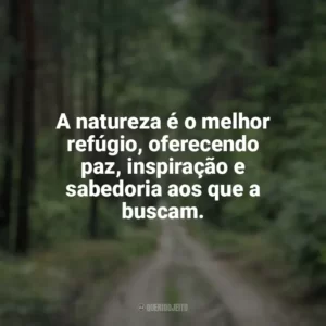 A natureza é o melhor refúgio, oferecendo paz, inspiração e sabedoria aos que a buscam. Dia da Natureza