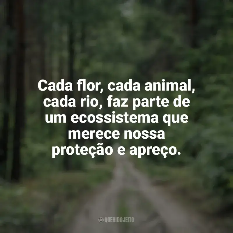 Frases Feliz Dia da Natureza: Cada flor, cada animal, cada rio, faz parte de um ecossistema que merece nossa proteção e apreço.