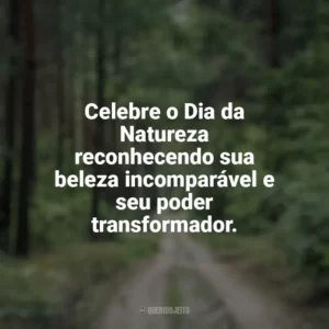Celebre o Dia da Natureza reconhecendo sua beleza incomparável e seu poder transformador. Dia da Natureza