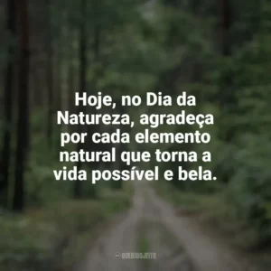 Hoje, no Dia da Natureza, agradeça por cada elemento natural que torna a vida possível e bela. Dia da Natureza