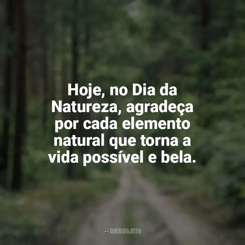 Frases de homenagem Dia da Natureza: Hoje, no Dia da Natureza, agradeça por cada elemento natural que torna a vida possível e bela.