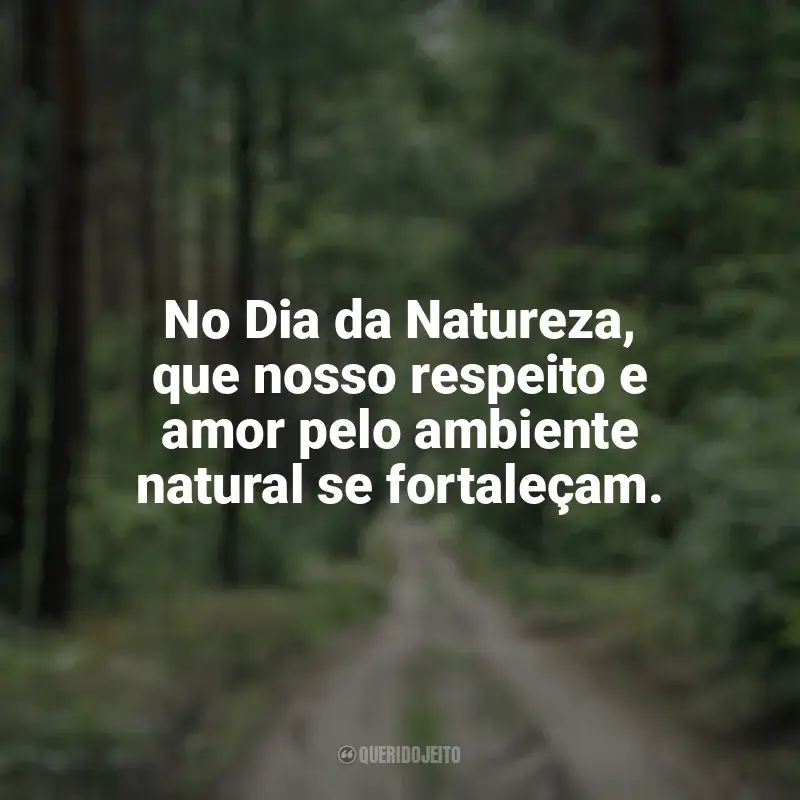 Frases Dia da Natureza: No Dia da Natureza, que nosso respeito e amor pelo ambiente natural se fortaleçam.
