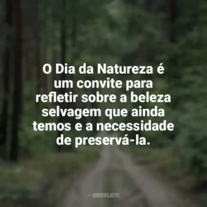 O Dia da Natureza é um convite para refletir sobre a beleza selvagem que ainda temos e a necessidade de preservá-la. Dia da Natureza
