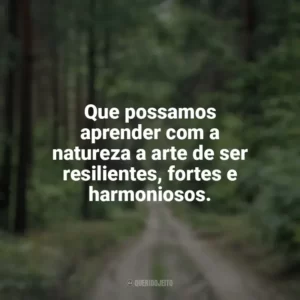 Que possamos aprender com a natureza a arte de ser resilientes, fortes e harmoniosos. Dia da Natureza